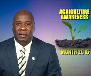 Nevis AG Minister