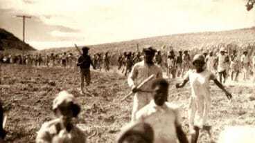 Buckley's Estates Riots 1935