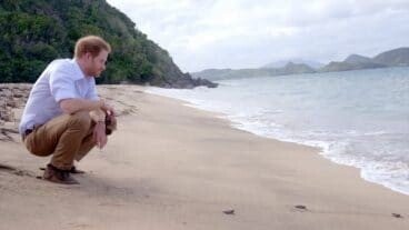 Prince Harry - Lover's Beach Nevis Island