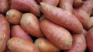 Yams To Be Featured Ingredient For Restaurant Week