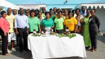 Essential Oils Workshop On Nevis