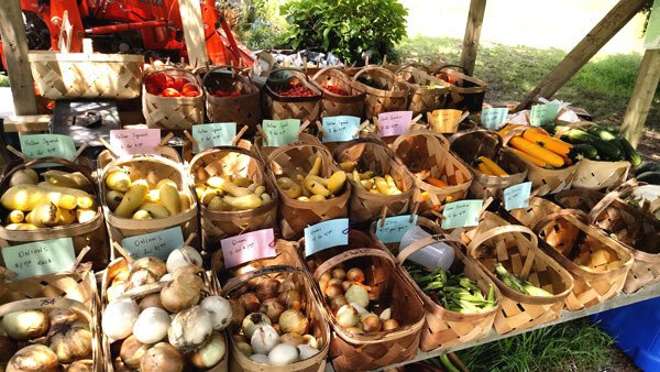 Nevis' 24th Annual Agriculture Day