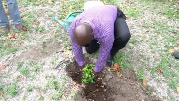 Deputy PM Plants Fruit Tree