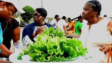 Nevis Farmer's Market