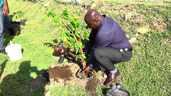 Nevis Deputy PM Jeffers - Tree Planting