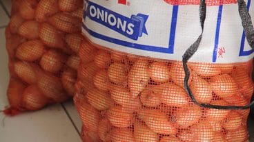 Onions Grown On Nevis At Agro-Fest