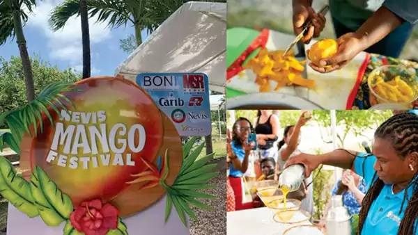 Bartender Competition - Nevis Mango Festival 2023