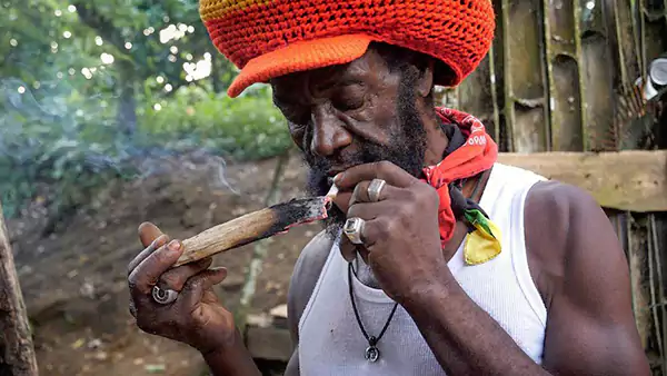 Cannabis Legal For St Kitts Nevis Rastafarians