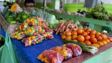 St Kitts and Nevis to host Agriculture Open Day 2024.