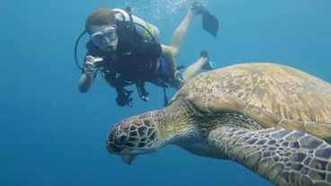 Diving in St. Kitts - Nevis.