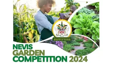 Nevis Garden Competition 2024 Encourages Community Wellness