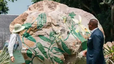 Vanilla Paradises - Nevis Island.