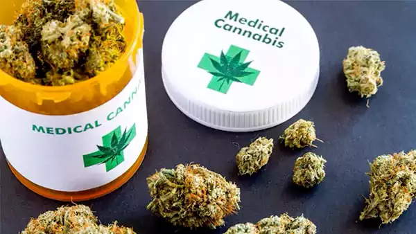 Medicinal Cannabis - St. Kitts - Nevis