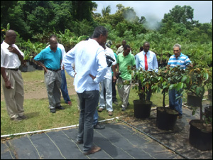 Agricultural Officials at Kittitian Hill Agricultural Officials at Kittitian Hill