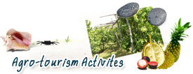 Agro-Tourism