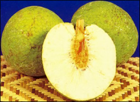 Breadfruit In Their Natural State