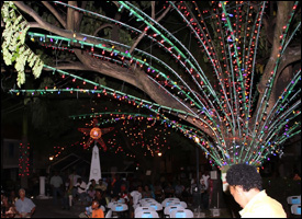 Christmas Tree Lighting - 2011