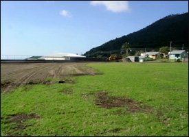 Construction At St. Peter's Sports Complex