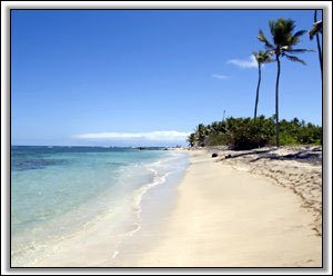 Coral Reef Is Located On Nisbet Beach