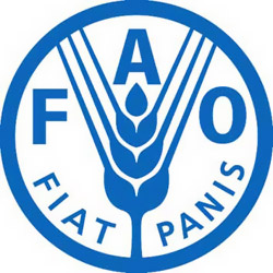 FAO Logo