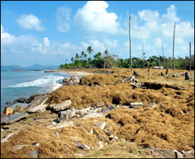 Four Seasons Beach After Hurricane Omar