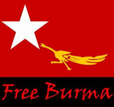 Free Burma Campaign Flag