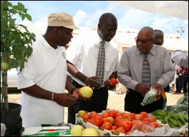 Nevis Grown Fruit and Vegetables