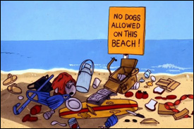 Keep St. Kitts - Nevis' Beaches Clean