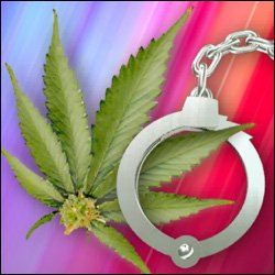 Marijuana Crime - St. Kitts - Nevis