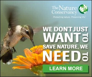 The Nature Conservancy - Donate Now!