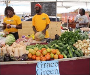 Nevis Ag Day - Grace Green Booth