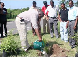 Nevis Agricultural Minister - Robelto Hector - Plants Jujube Tree