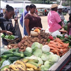 Local Produce On Display At The Farmers' Market