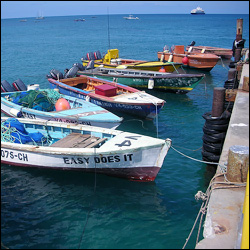 Local Nevis Fishing Boats