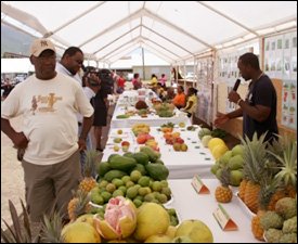 Fresh Fruits On Display at The Nevis Fruit Festival 2009