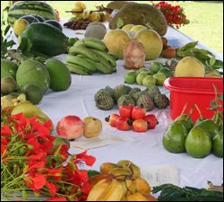 Locally Grown Nevis Fruits and Vegetables