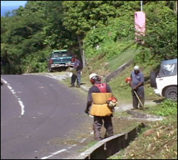 Workers Clearing Debris On Nevis' Main Road