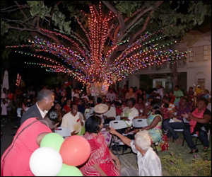 Nevis Premier Lights Christmas Tree