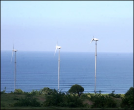 Wind Farm at Maddens - Nevis, Island