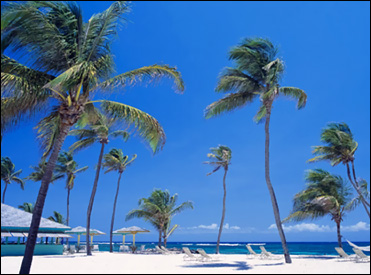 Nisbet Plantation's Gorgeous Beach Nisbet Plantation's Gorgeous Beach