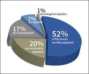 Current Global Overfishing Statistics