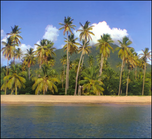 Pinneys Beach - Nevis Island