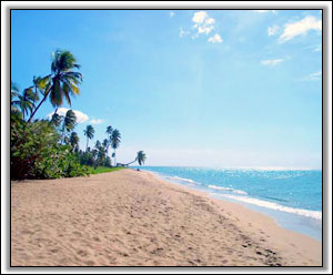 Nevis' Beautiful Pinney's Beach