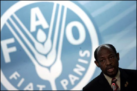 St. Kitts - Nevis PM at FAO Food Summit 2008