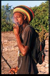 Rasta With Ganja