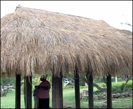 Repaired Hut At Nevisian Heritage Village