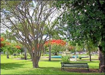 Independence Square In Basseterre Independence Square In Basseterre