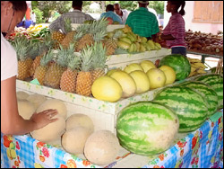 St. Kitts - Nevis Locally Grown Produce