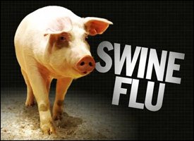 Swine Flu Outbreak In St. Kitts - Nevis