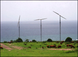 Wind Farm At Maddens Estate